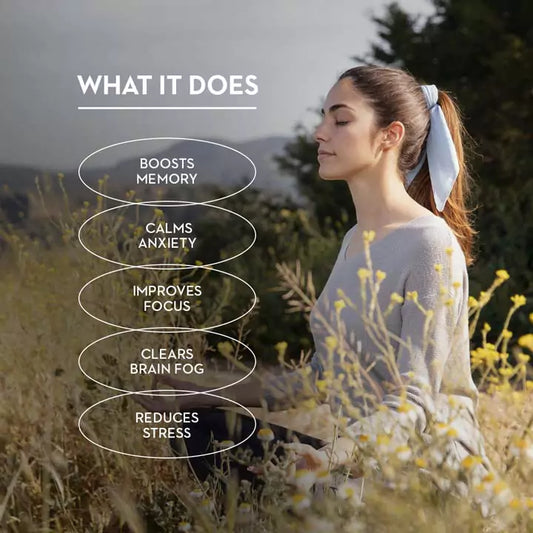 VERSUS Ashwagandha & Ginseng 90 Capsules