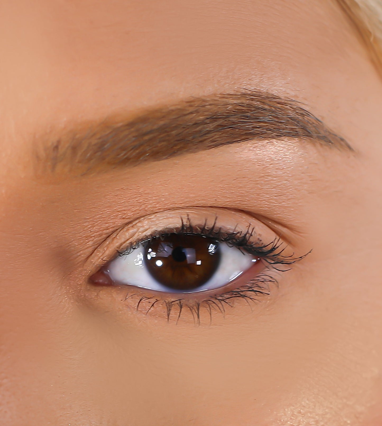 3D Mink - Subscribe - Lurella Cosmetics