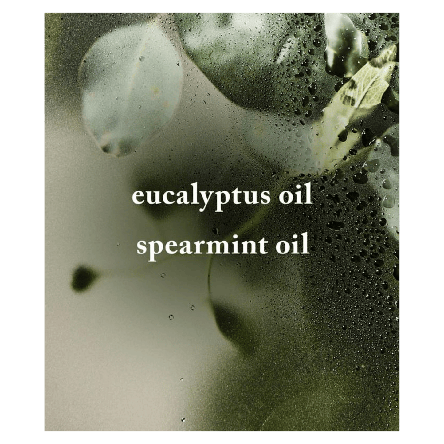 Bath & Body Works Eucalyptus Spearmint Sugar Body Scrub (368g)