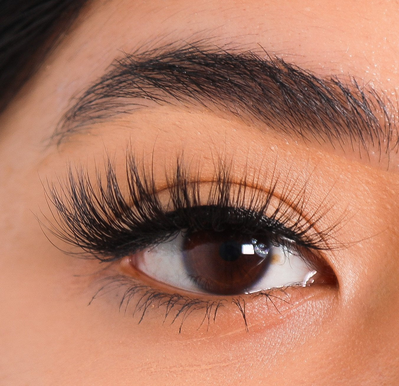 Lurella Cosmetics Everlasting Everlasting Eyelash Glue - BlackGlue