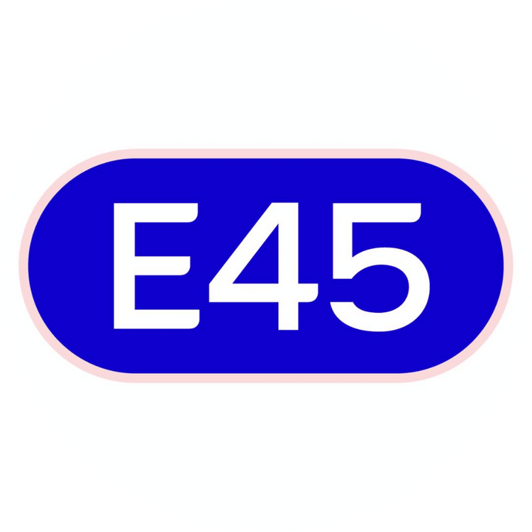 E45