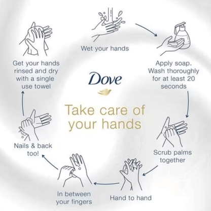 Dove Moisturising Hand Wash (250ml)