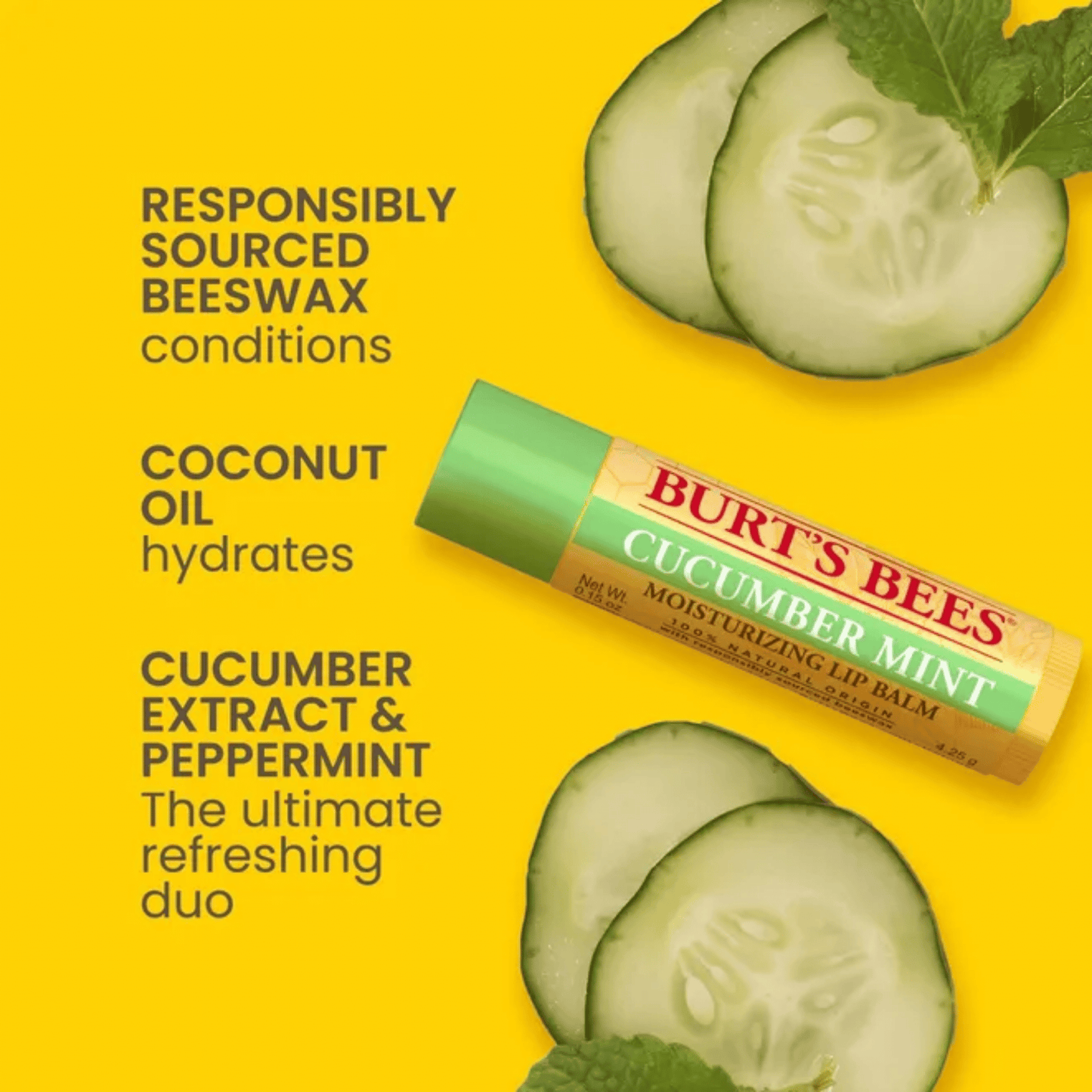 Burt's Bees Lip Balms 4-Pack