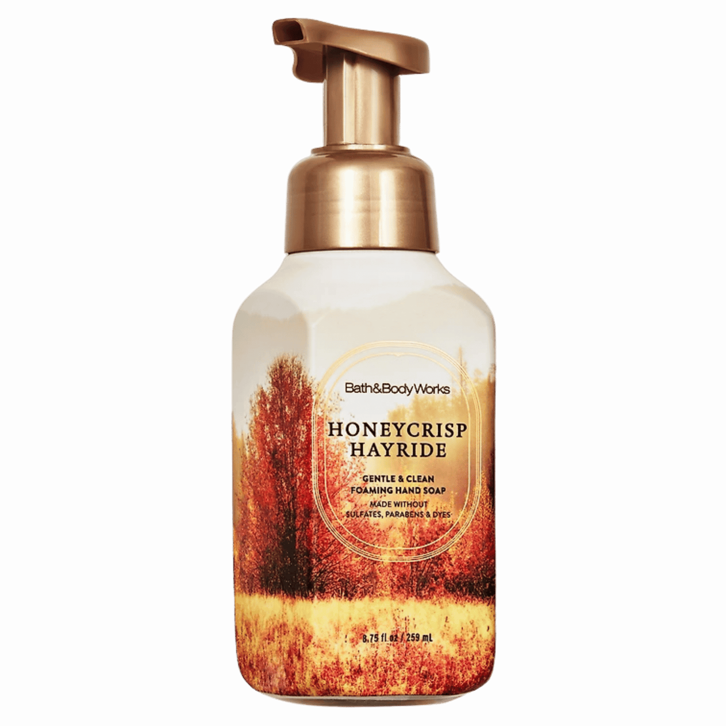 Bath & Body Works Gentle & Clean Foaming Hand Wash (259ml)