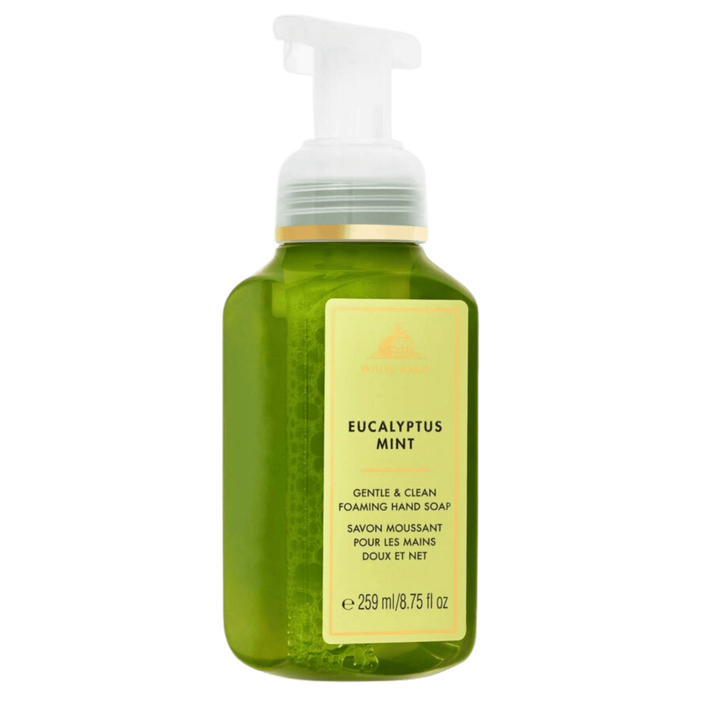 Bath & Body Works Gentle & Clean Foaming Hand Wash (259ml)