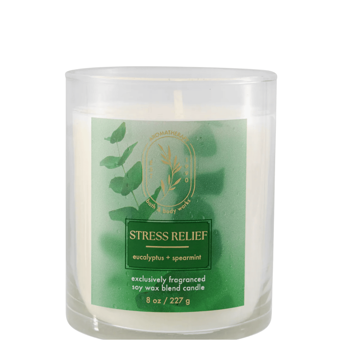 Bath & Body Works Candle (227g)