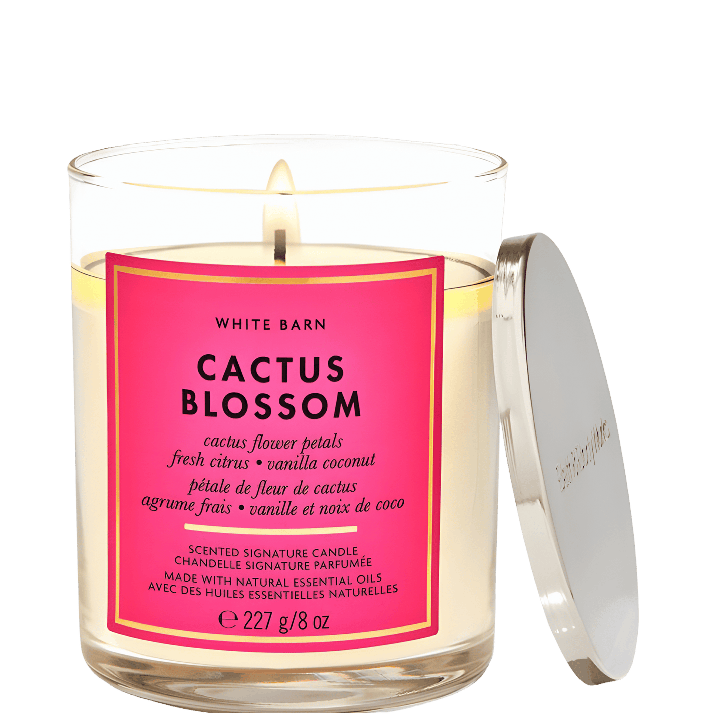 Bath & Body Works Candle (227g)
