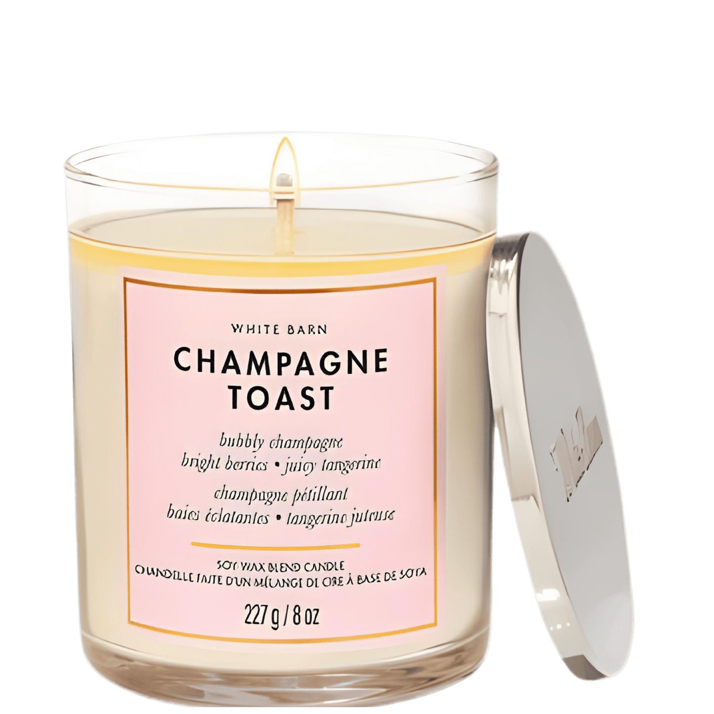 Bath & Body Works Candle (227g)