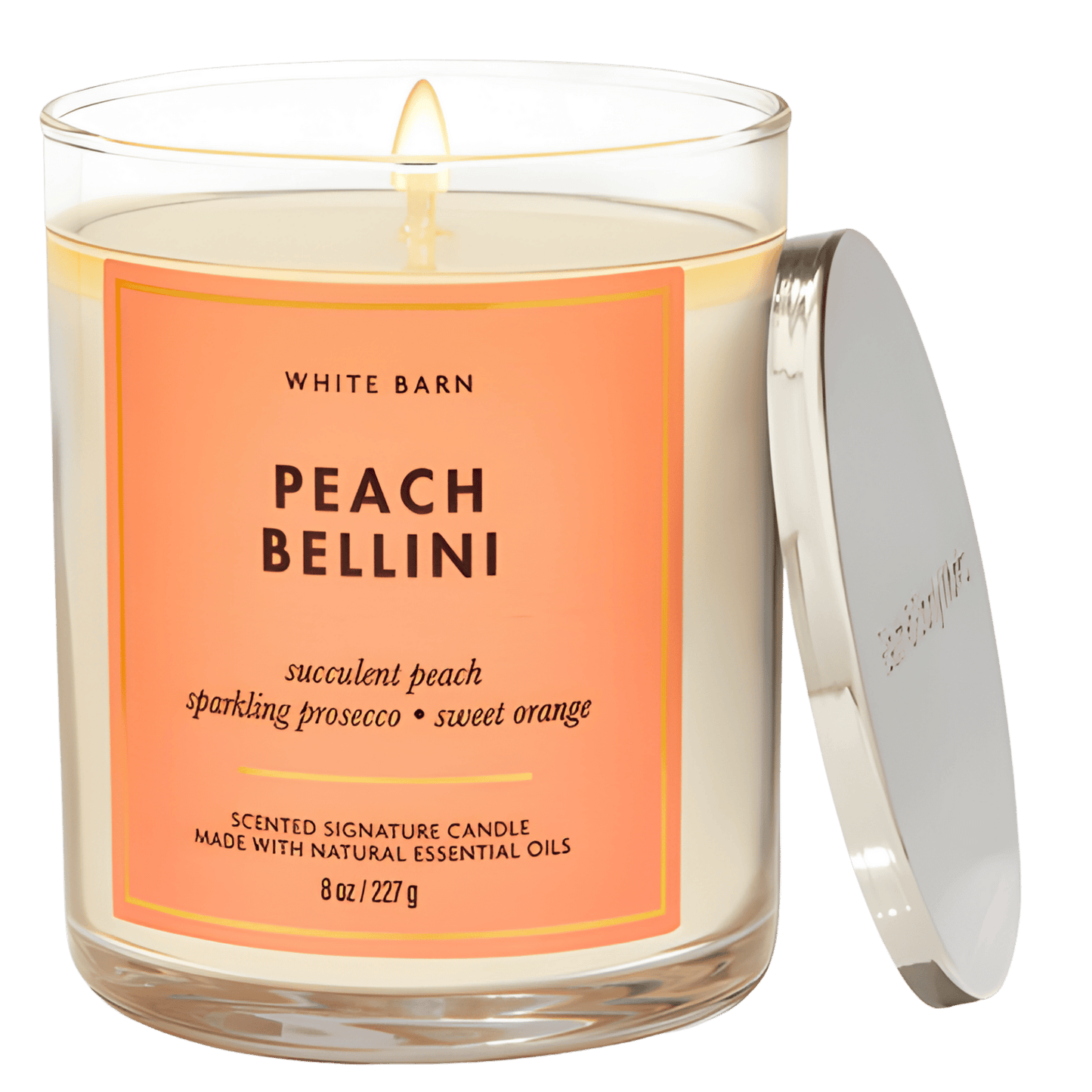 Bath & Body Works Candle (227g)