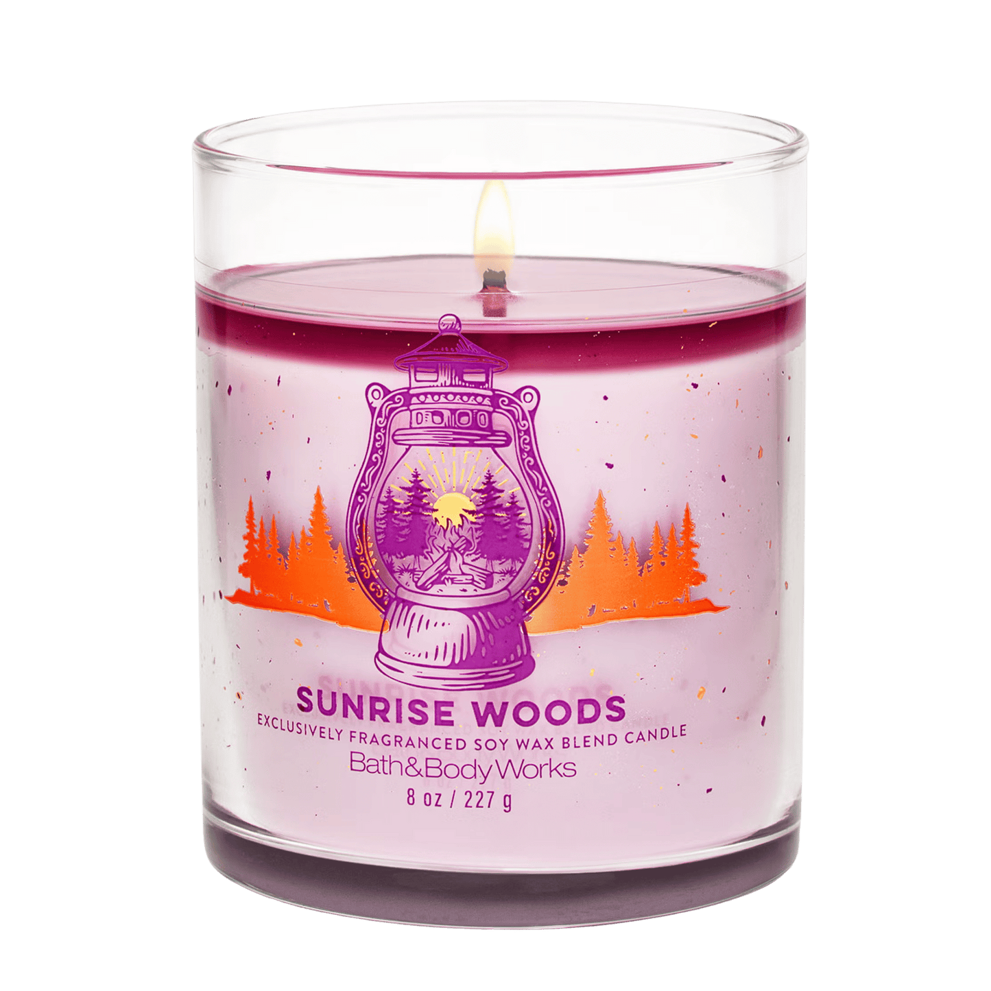 Bath & Body Works Candle (227g)