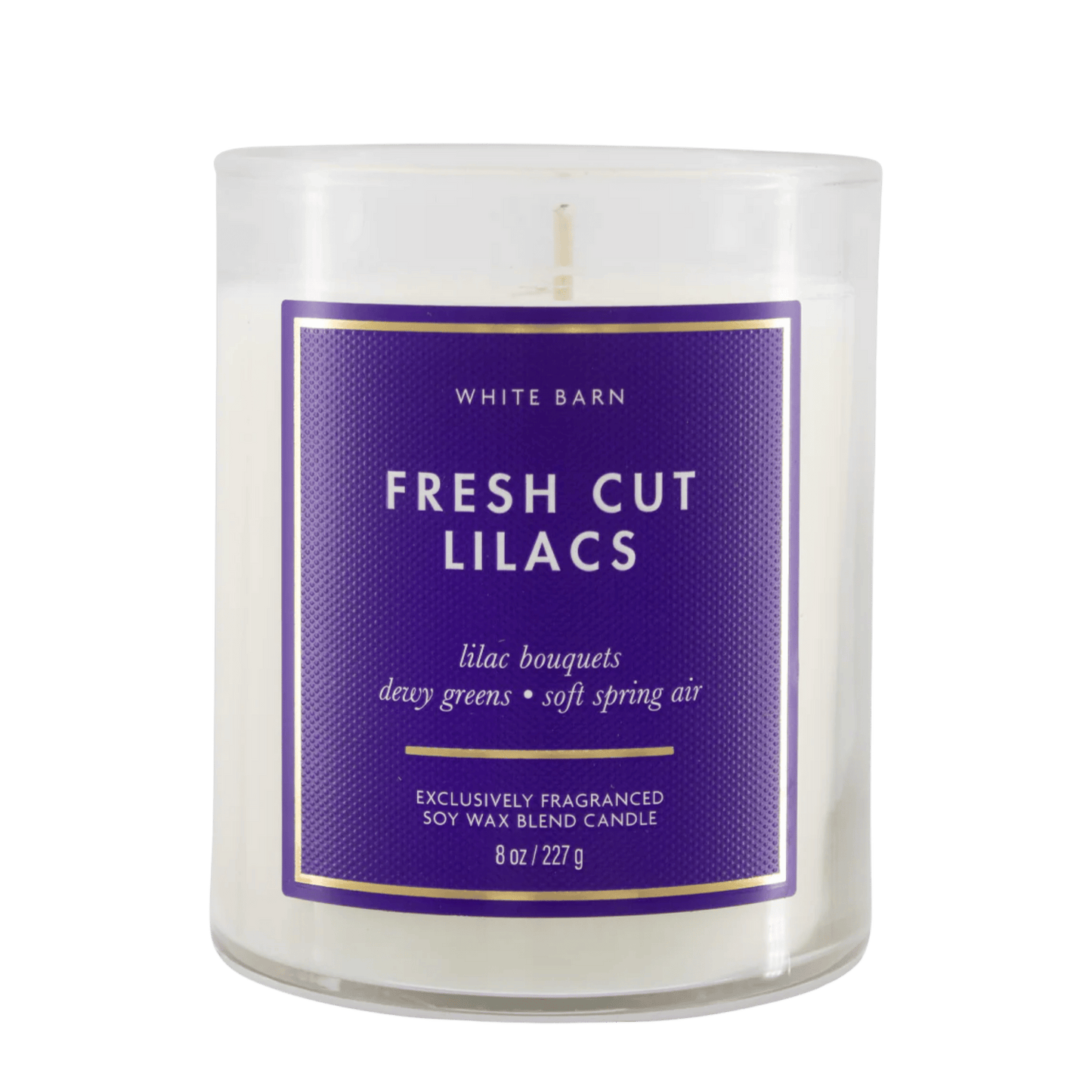 Bath & Body Works Candle (227g)