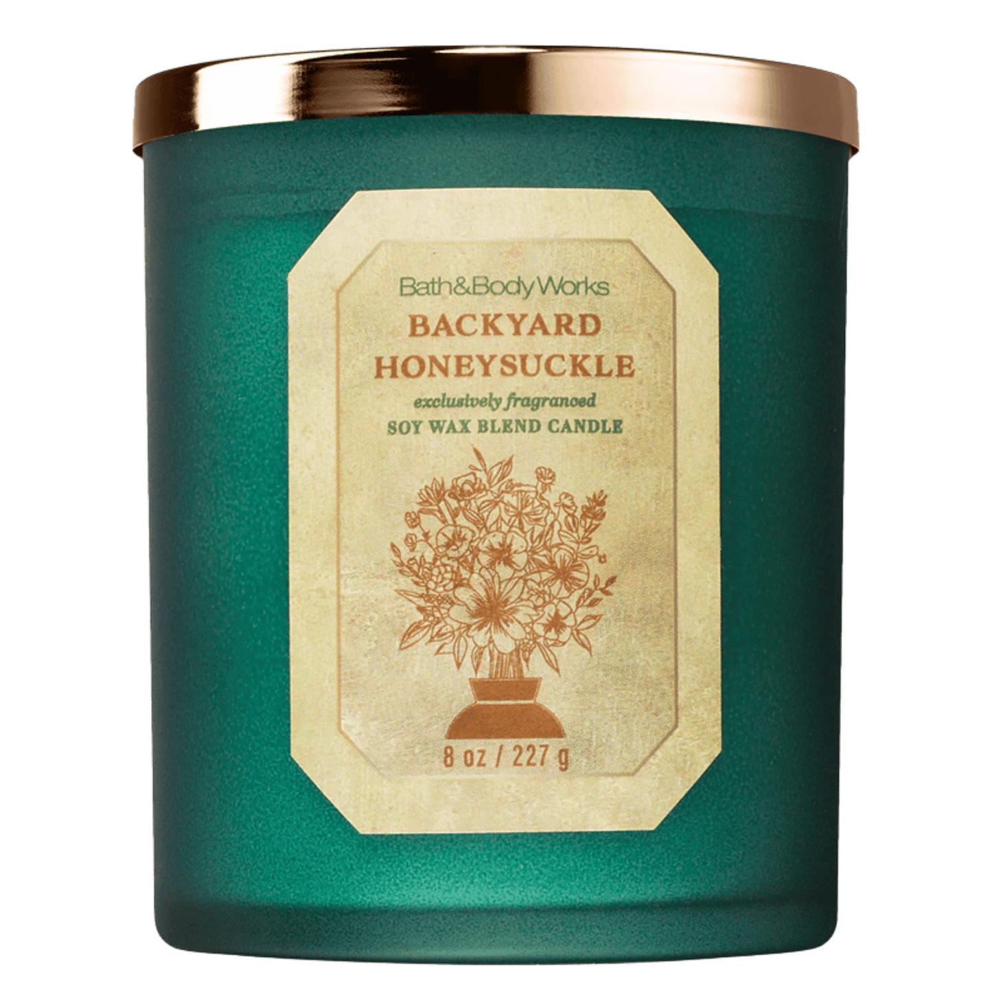 Bath & Body Works Candle (227g)