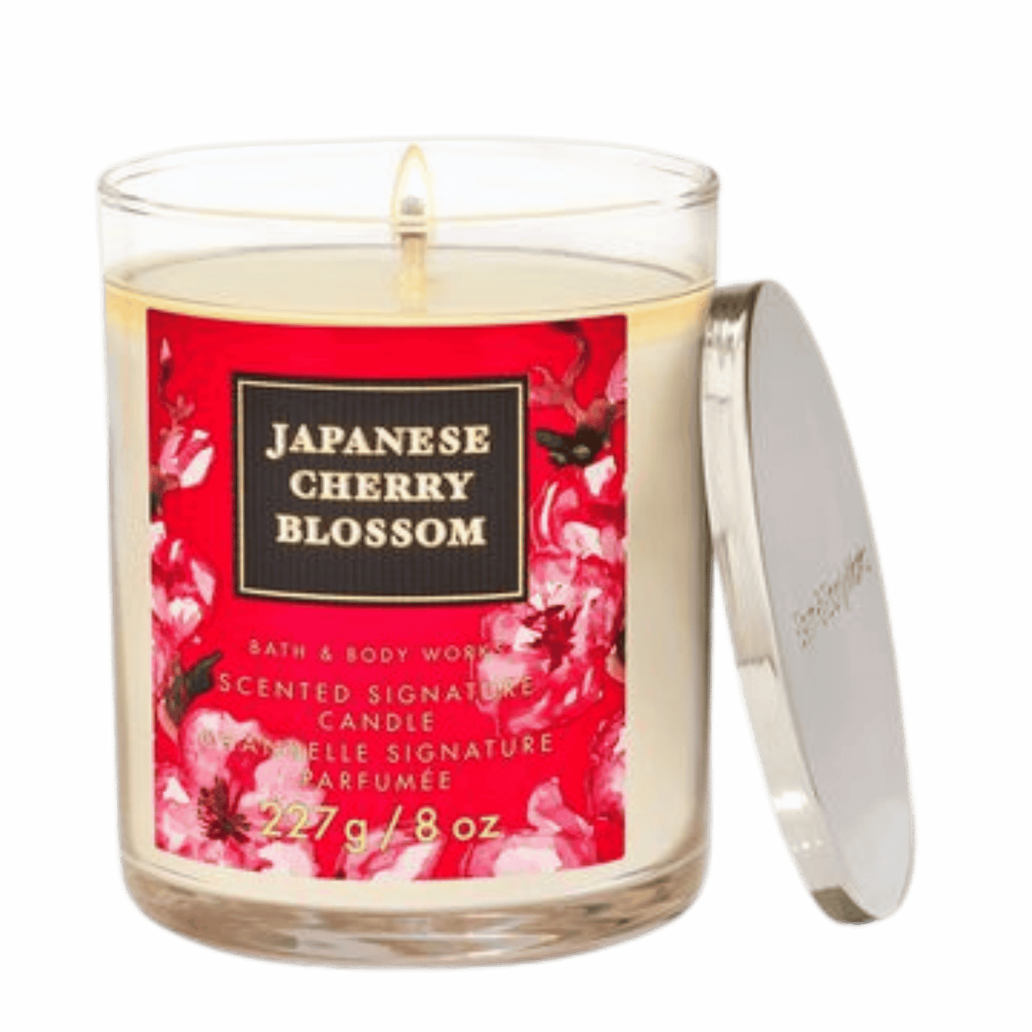 Bath & Body Works Candle (227g)