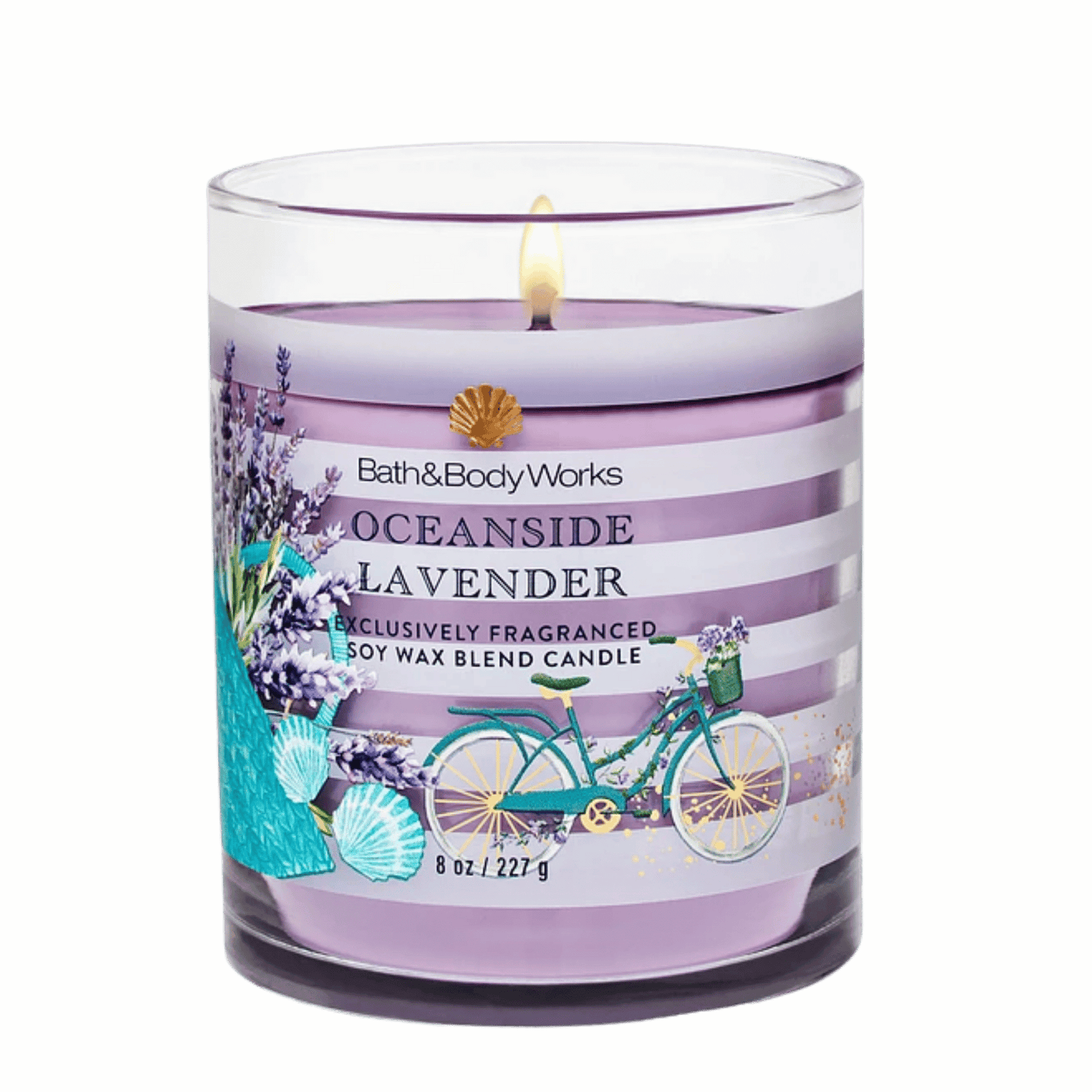 Bath & Body Works Candle (227g)