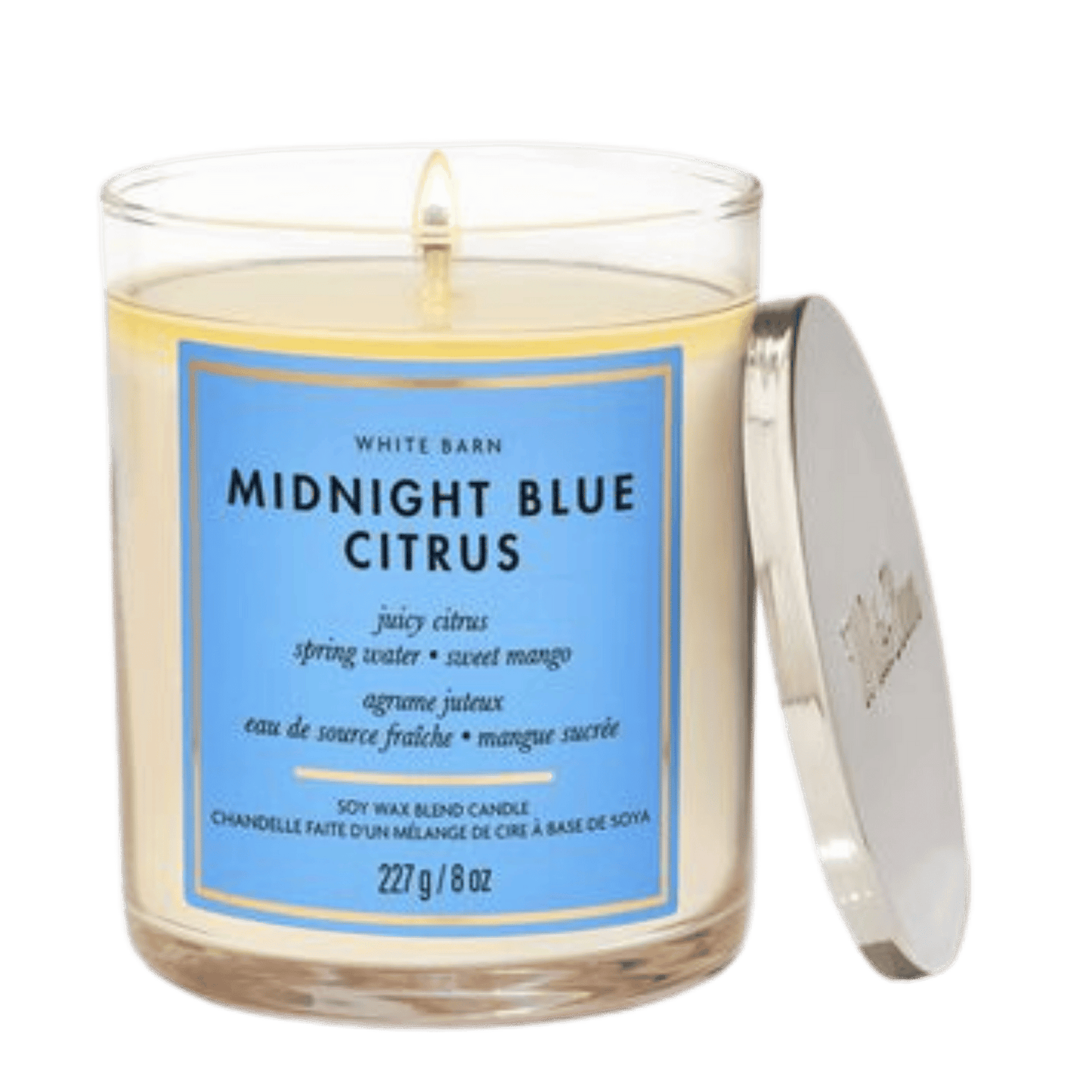 Bath & Body Works Candle (227g)