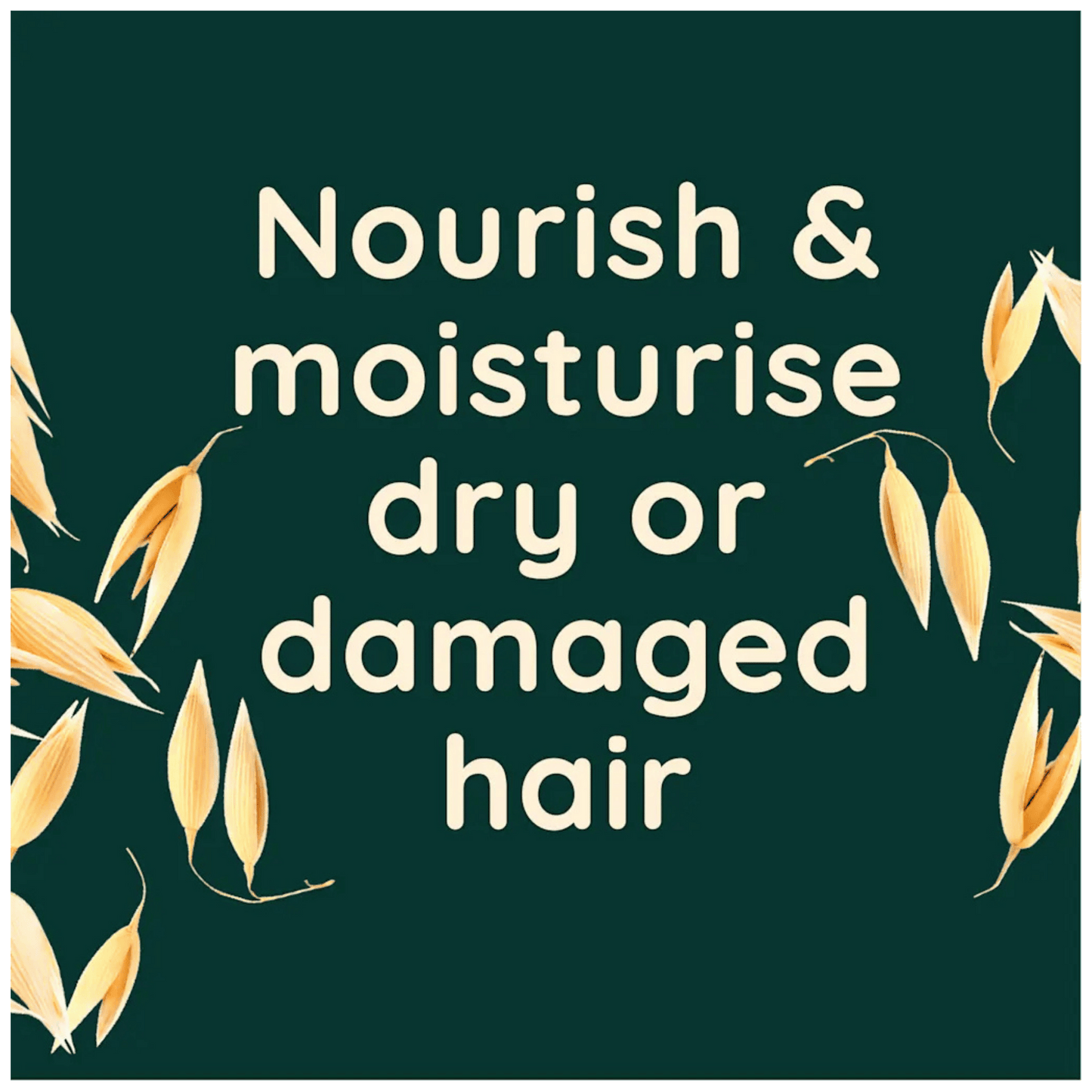 Aveeno Daily Use Hydrating Haircare