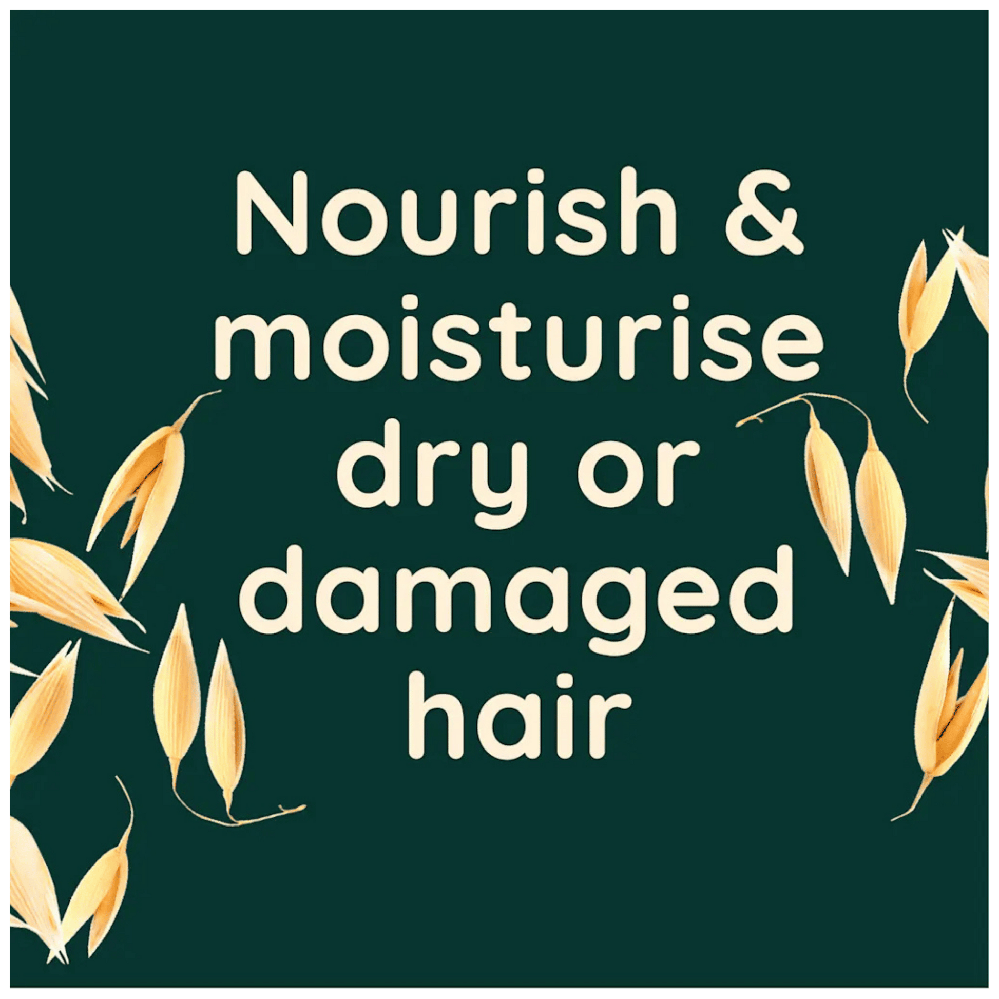 Aveeno Daily Use Hydrating Haircare