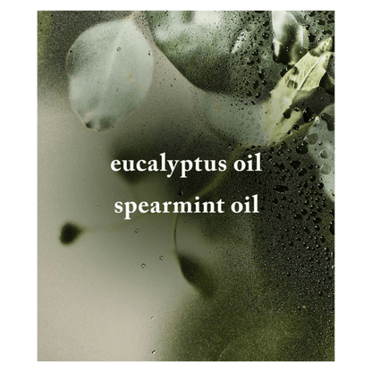 Bath & Body Works Eucalyptus Spearmint Sugar Body Scrub (368g)