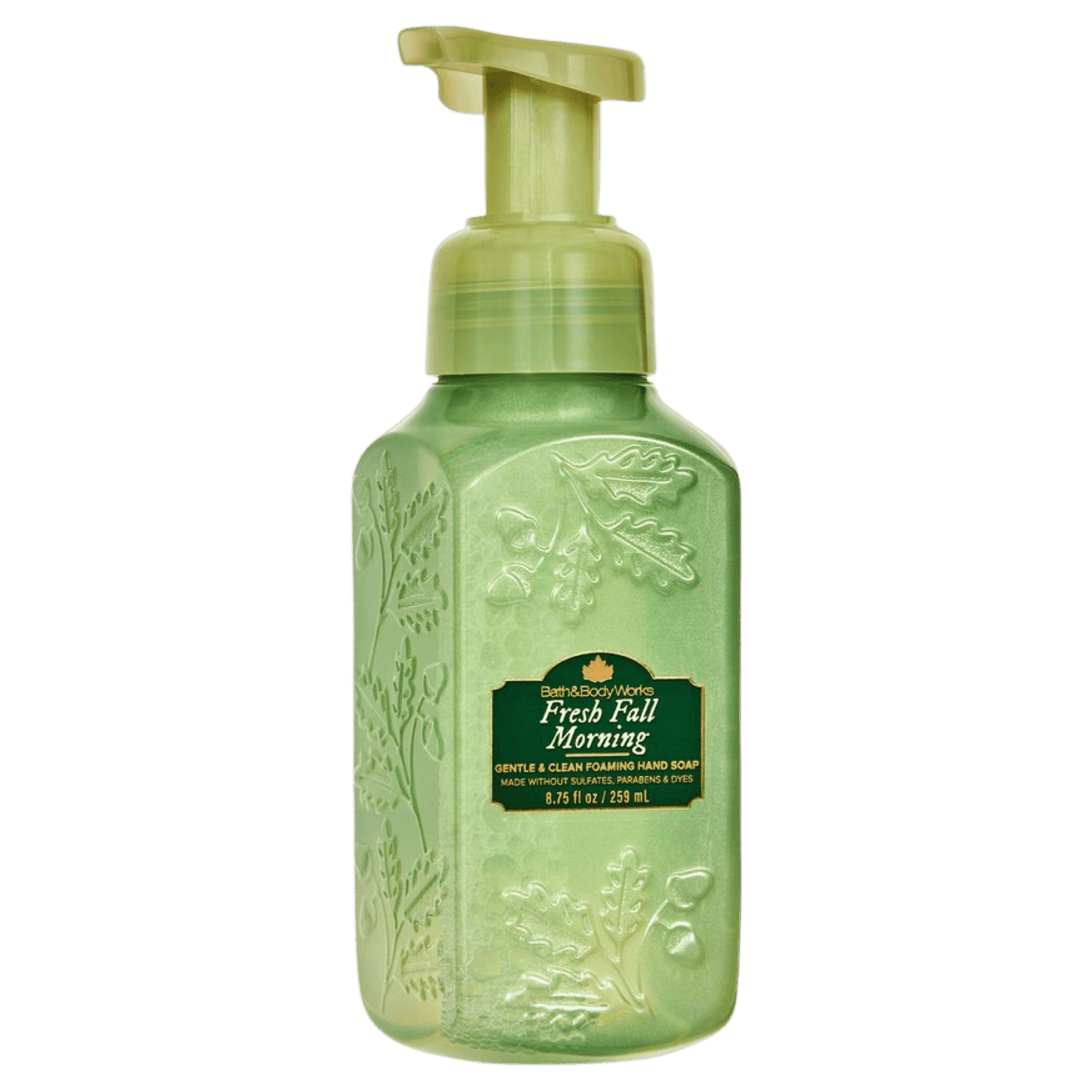 Bath & Body Works Gentle & Clean Foaming Hand Wash (259ml)